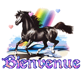 Gif animé bienvenue cheval